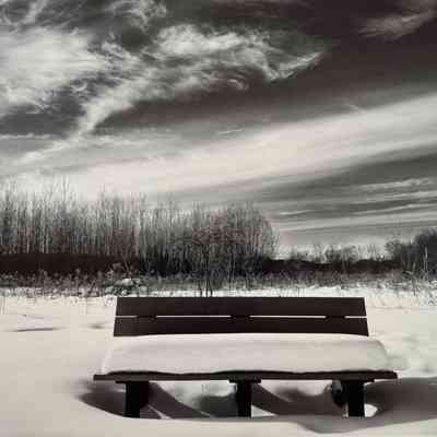 Snow Bench