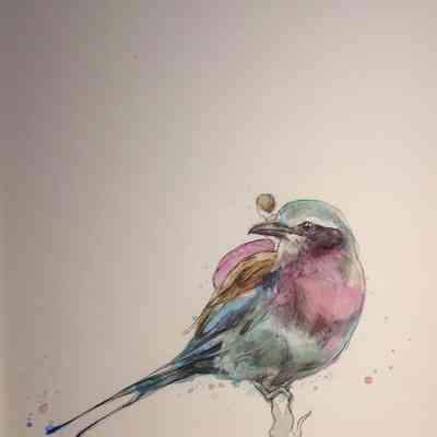 Plumage