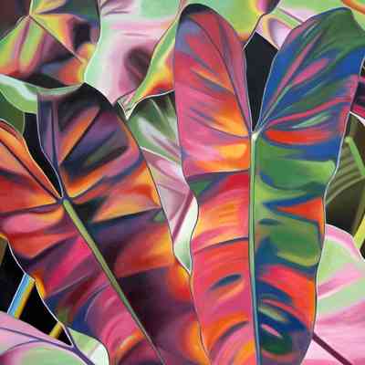 Tropical Heat