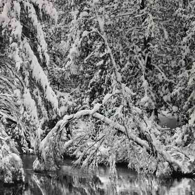 North Boardman