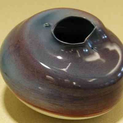 Foraminal Vessel