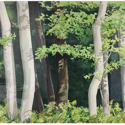 Three Times Three and More, Sleeping Bear Dunes, Michigan