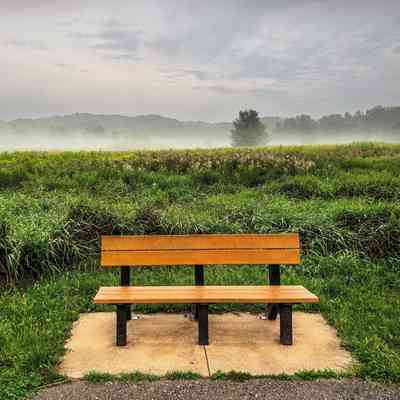Solitary