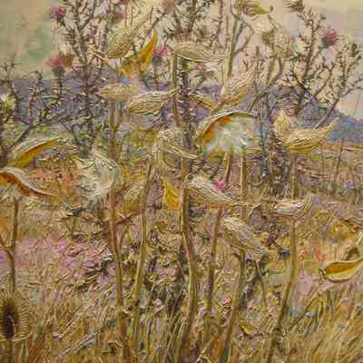 Milkweeds