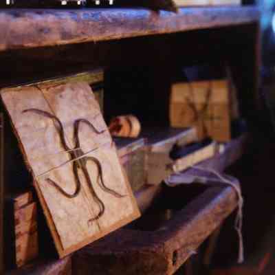 Untitled (drawer, serpent star on board)