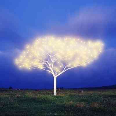 Tree of Life #5-2-4