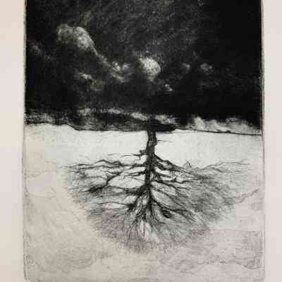 Untitled - Clouds and Tree
