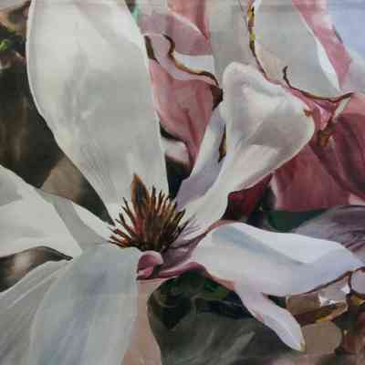 Mature Magnolia