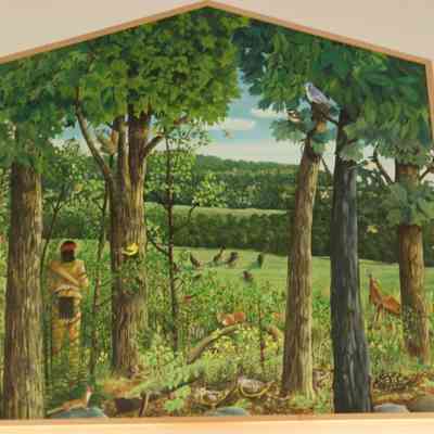 Woodlands