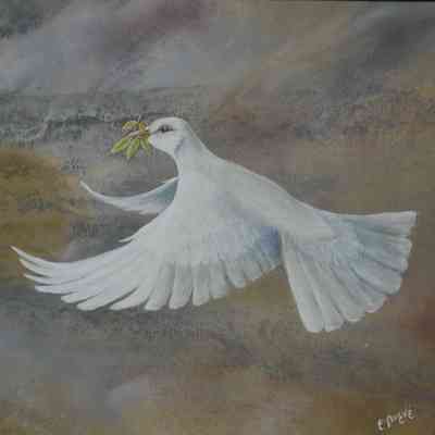 Dove Returns to Noah