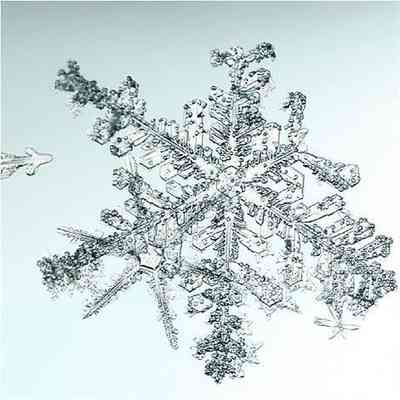 Untitled (Snowflake)