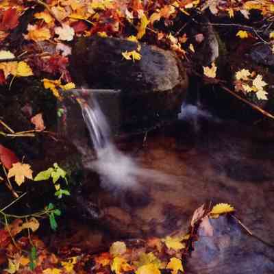 A Small Creek in Autumn - Barry County