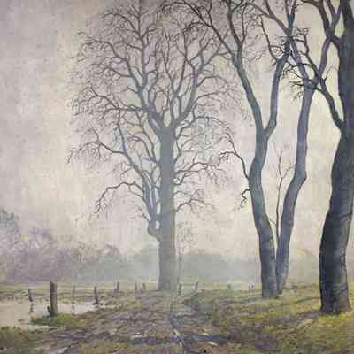 Early Spring - Trees