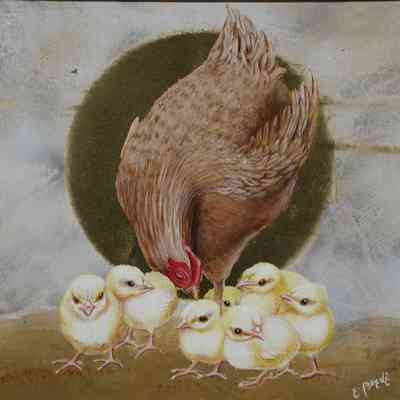 Hen with Seven Chicks