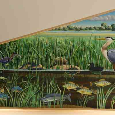 Wetlands