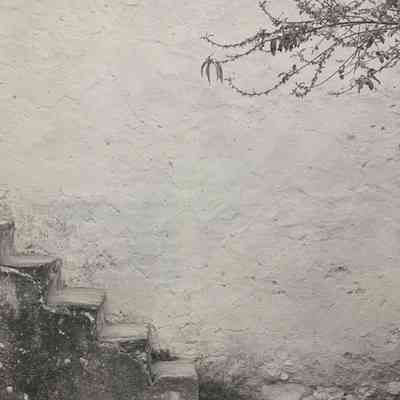Stairs and Branch, San Cristobal de las Casas from Mexico Series