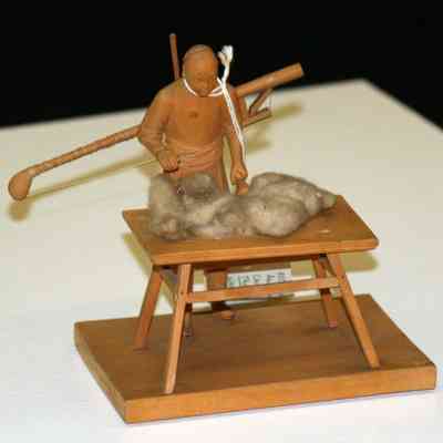 The Wool Carder