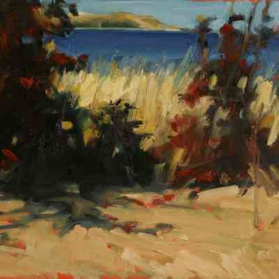 Later Summer in Glen Arbor, Michigan