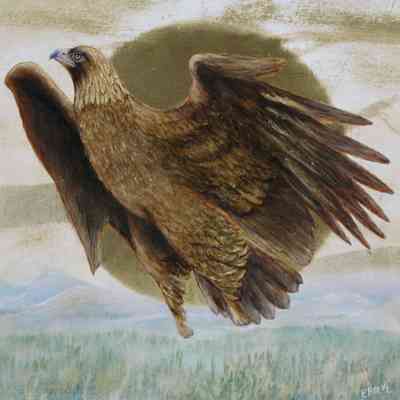 Golden Eagle Rising