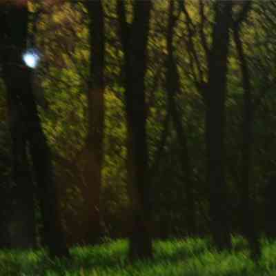 Morning Light, Ole Oleson Farm