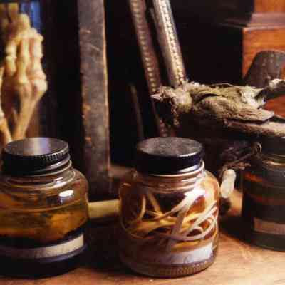 Untitled (jars with liquids and specimens)