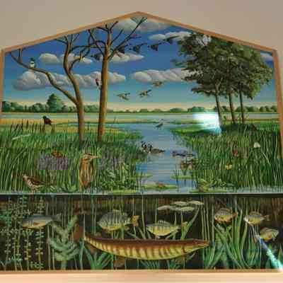Wetlands