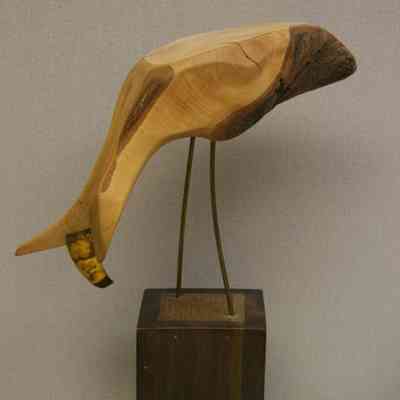 Fishy Bird