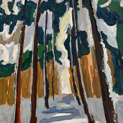 Snowy Trail