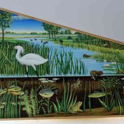 Wetlands