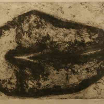 Gallus I