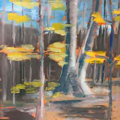 Ecosystem Preserve