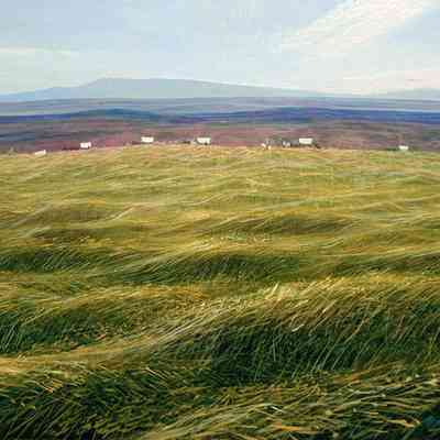 Sea of Grass