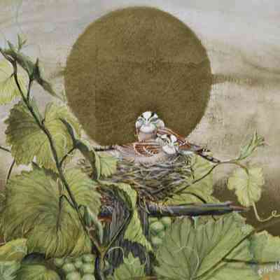 Nesting Among Grape Vines