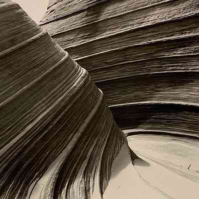 Petrified Dunes - Colorado