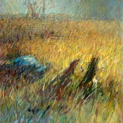 Field