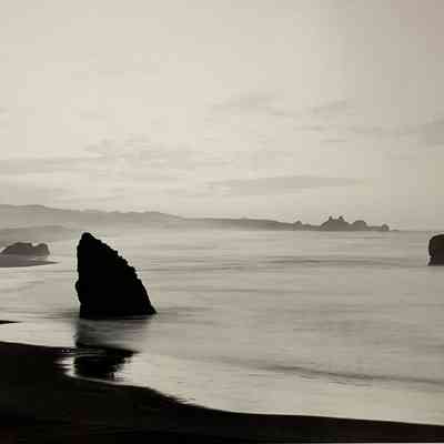 Morning Mist - Myer's State Park, California