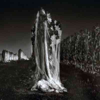Grapevines Under Netting