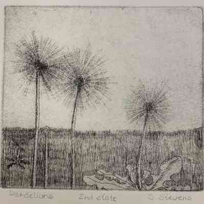 Dandelions - Second State