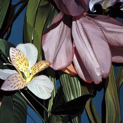 Untitled (Large Flowers)