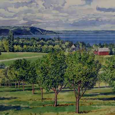 Cherry Orchard - East Bay