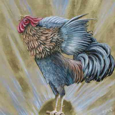 Cock Crowing at Dawn