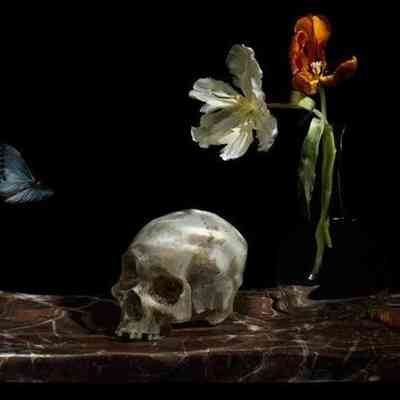 Great Leveler (from Vanitas)