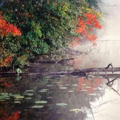 Morning Mist Pond with Fall Color