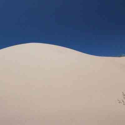 Nordhouse Dune