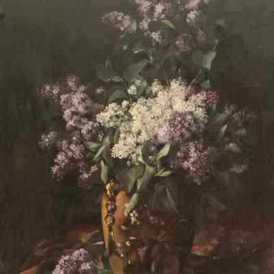 Lilacs