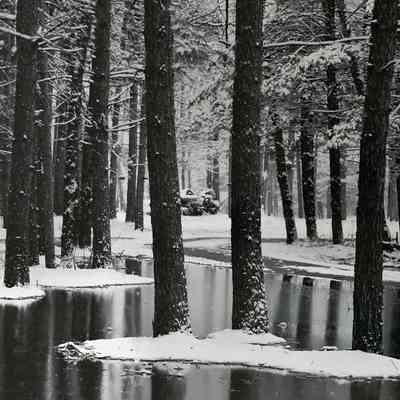 The Spring Melt