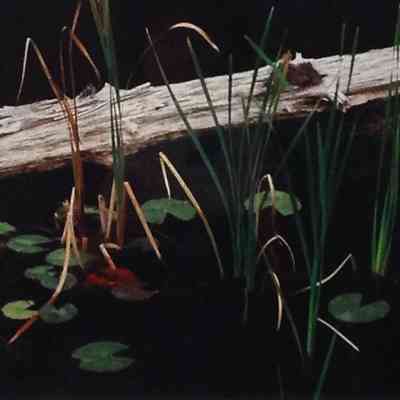 Log with Reeds and Lily Pads