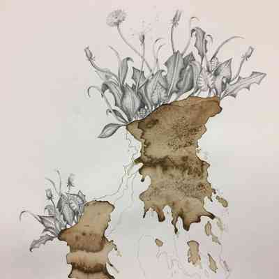 Cleanse II