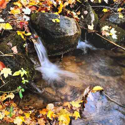 A Small Creek in Autumn, Barry County