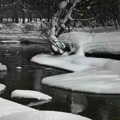 Carpenter Creek